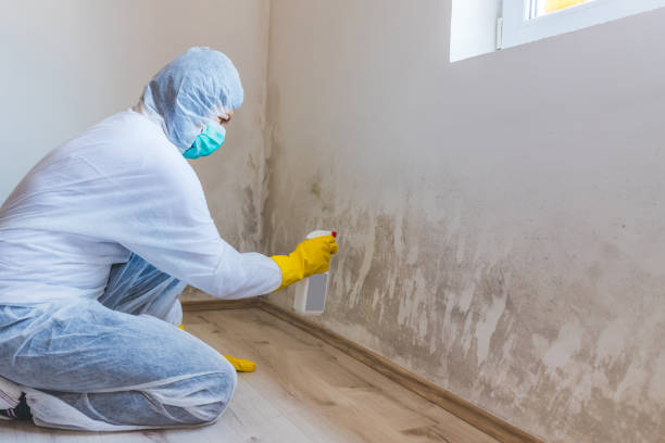 Licensed Crawl Space Mold Removal service in New Hill, NC - WQB Mold Removal