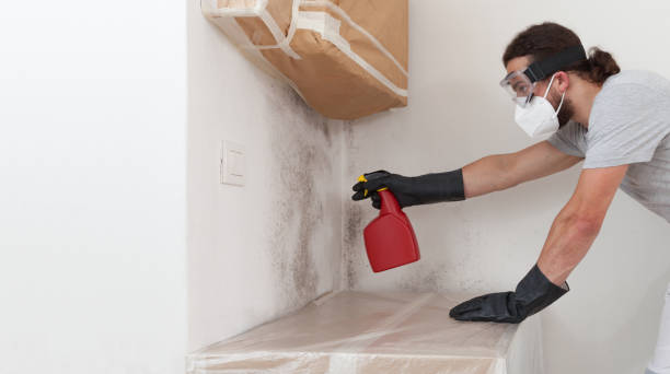 Professional Crawl Space Mold Removal technician working in New Hill, NC