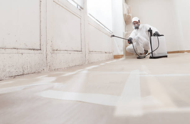 24/7 Emergency Crawl Space Mold Removal experts in New Hill, NC