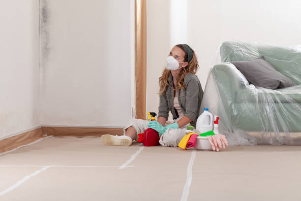 Reliable Crawl Space Mold Removal contractor in New Hill, NC by WQB Mold Removal